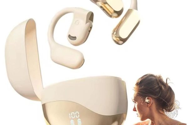 Lavnov Translation Earbuds offer a smarter way to understand languages