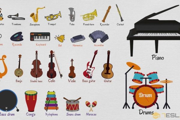 Complete guide to mandolin for beginners starting today