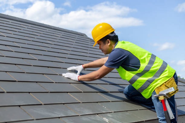 Upgrade with Three Tree Roofing Roofing Company Bellevue for Lasting Protection