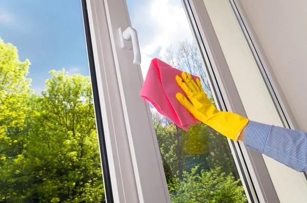 Detailed Window Cleaning for Plano Properties