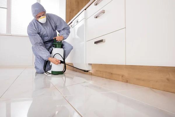 Pest Control Near Me for Fast and Professional Service