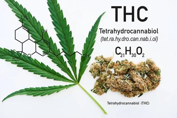 Understanding Product Transparency in Online Hemp Shopping