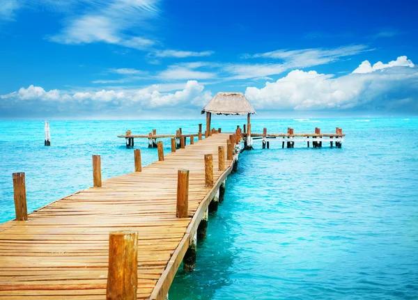 South Padre Island Vacation Condos Tips for Booking the Best Deals