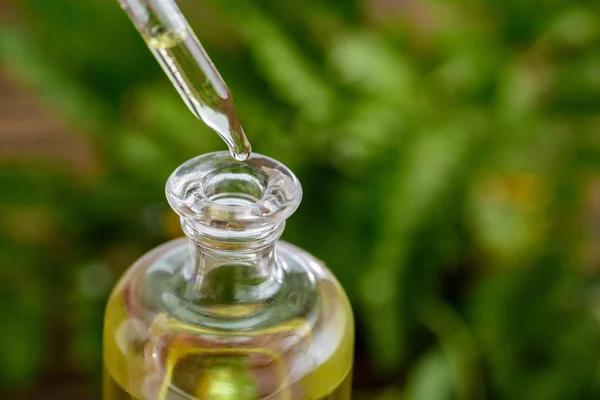 Hemp-Derived Cannabinoid Products: Essential Information for Consumers
