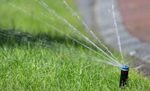 Expert water mitigation services for unexpected water damage